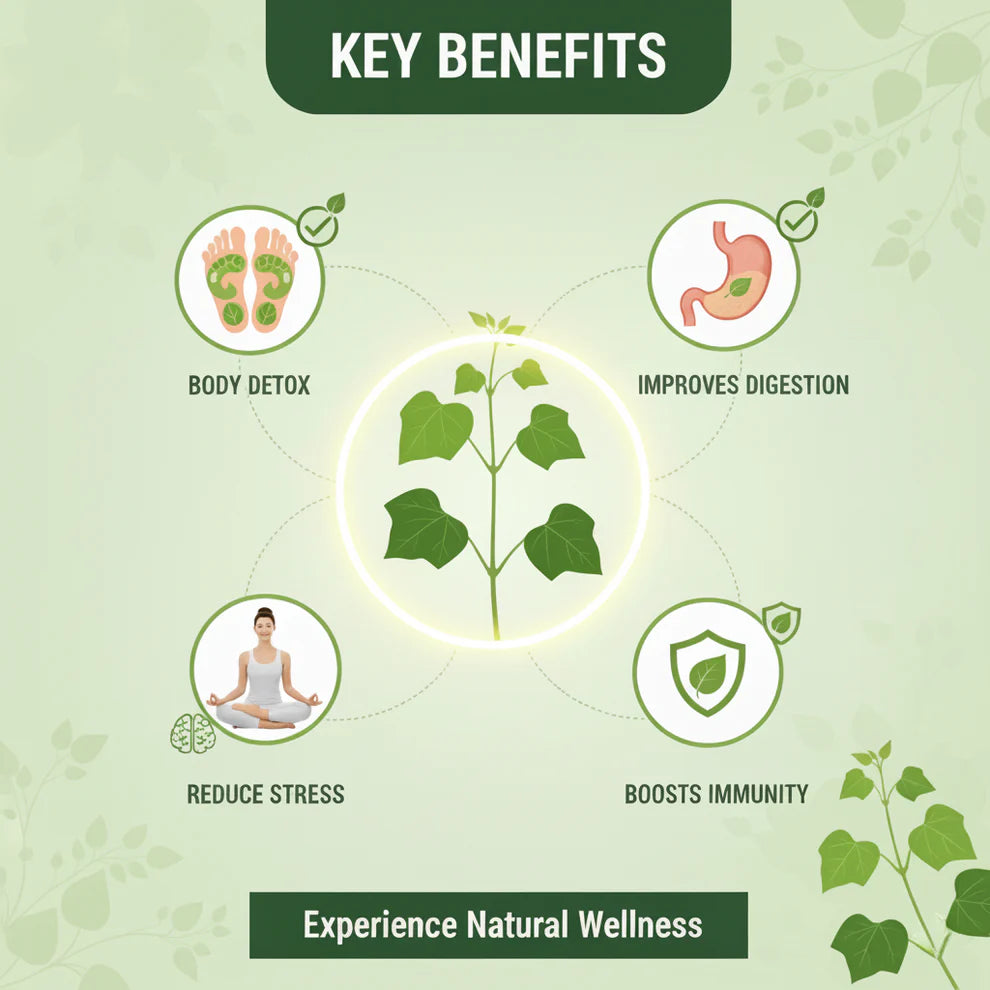 Herbal And Gentle Ingredient Detox Foot Pads(BUY 1 GET 2 FREE)